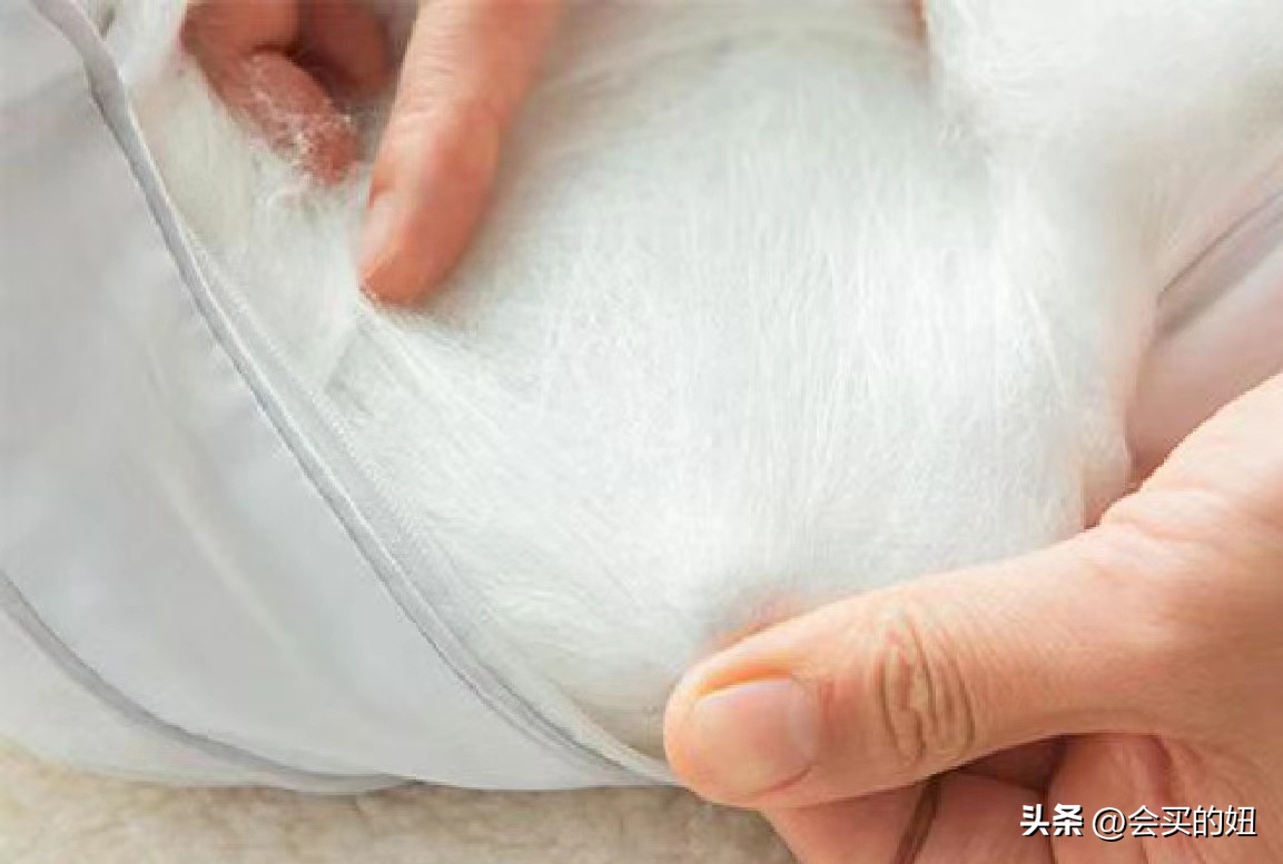 买蚕丝被不踩坑学会这几招,蚕丝被避免入坑科普大全