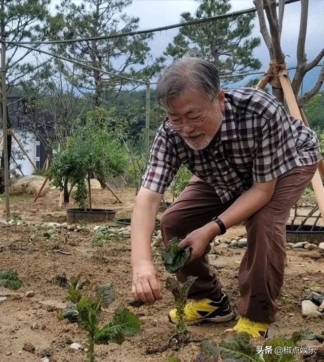 文在寅卸任后到底想做什么,文在寅卸任后待遇