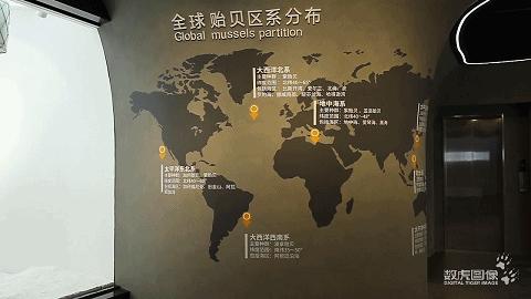 数虎又一数字化展厅舟山贻贝馆丨串联起贻贝传说