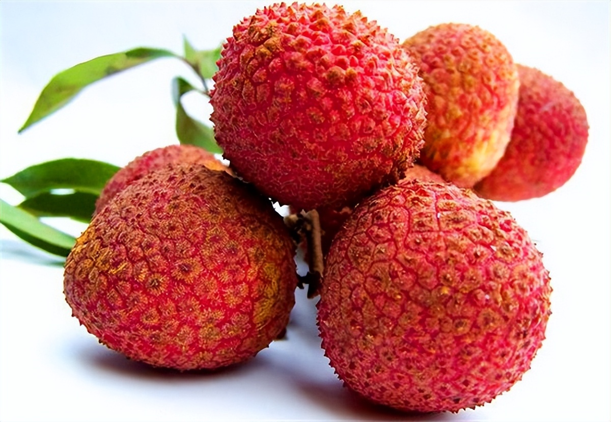 高血压患者可以吃茼蒿吗,吃高血压药时禁忌什么水果