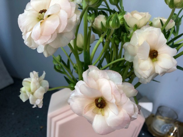 李清照才下眉头又上心头原词,相思才下眉头上心头什么意思