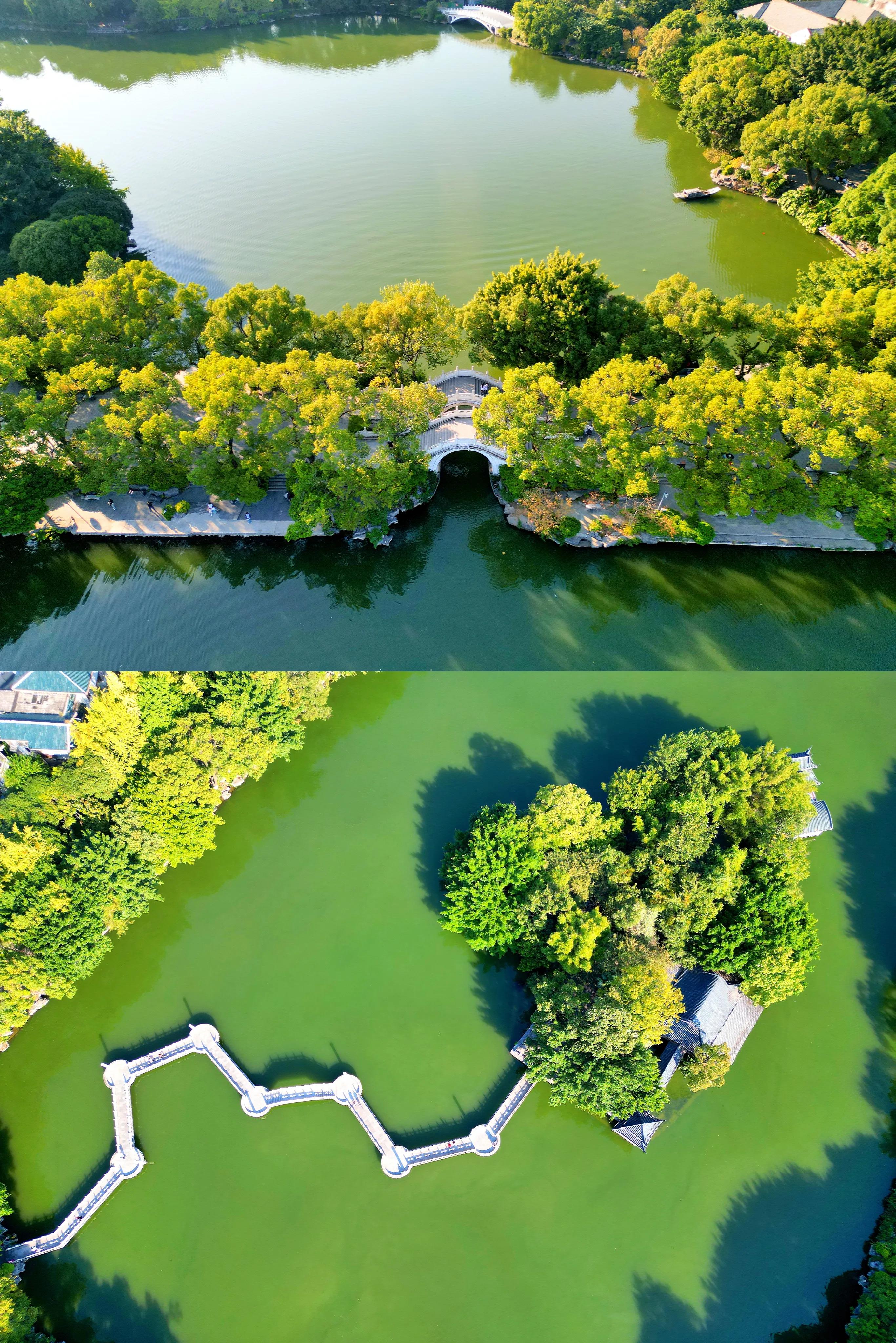 桂林榕湖之旅,春天桂林榕湖旅游攻略