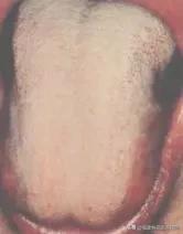 俞根初简介,有关俞根初的论文