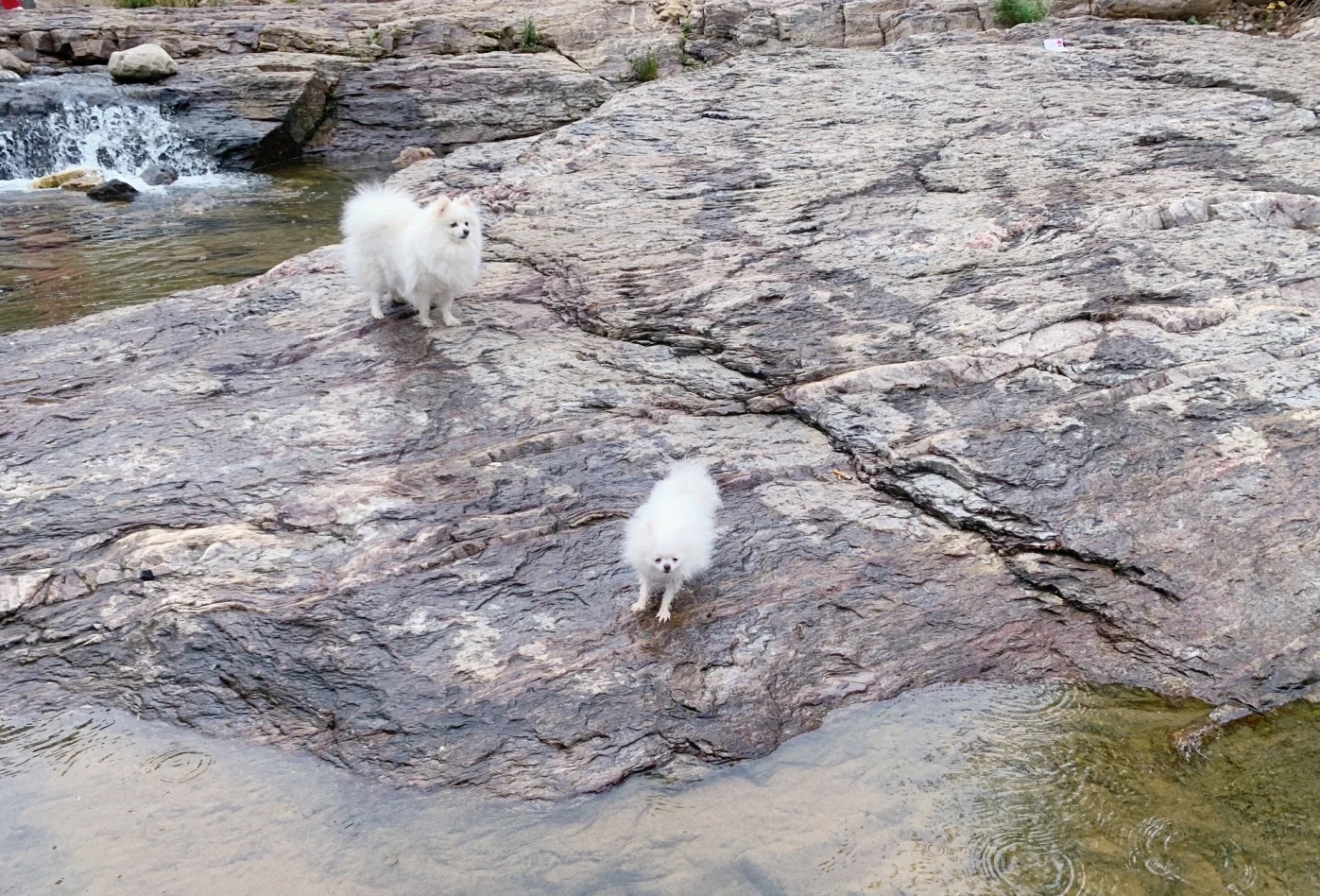 郑州亲子游的好去处室内有水,郑州适合亲子玩水的地方