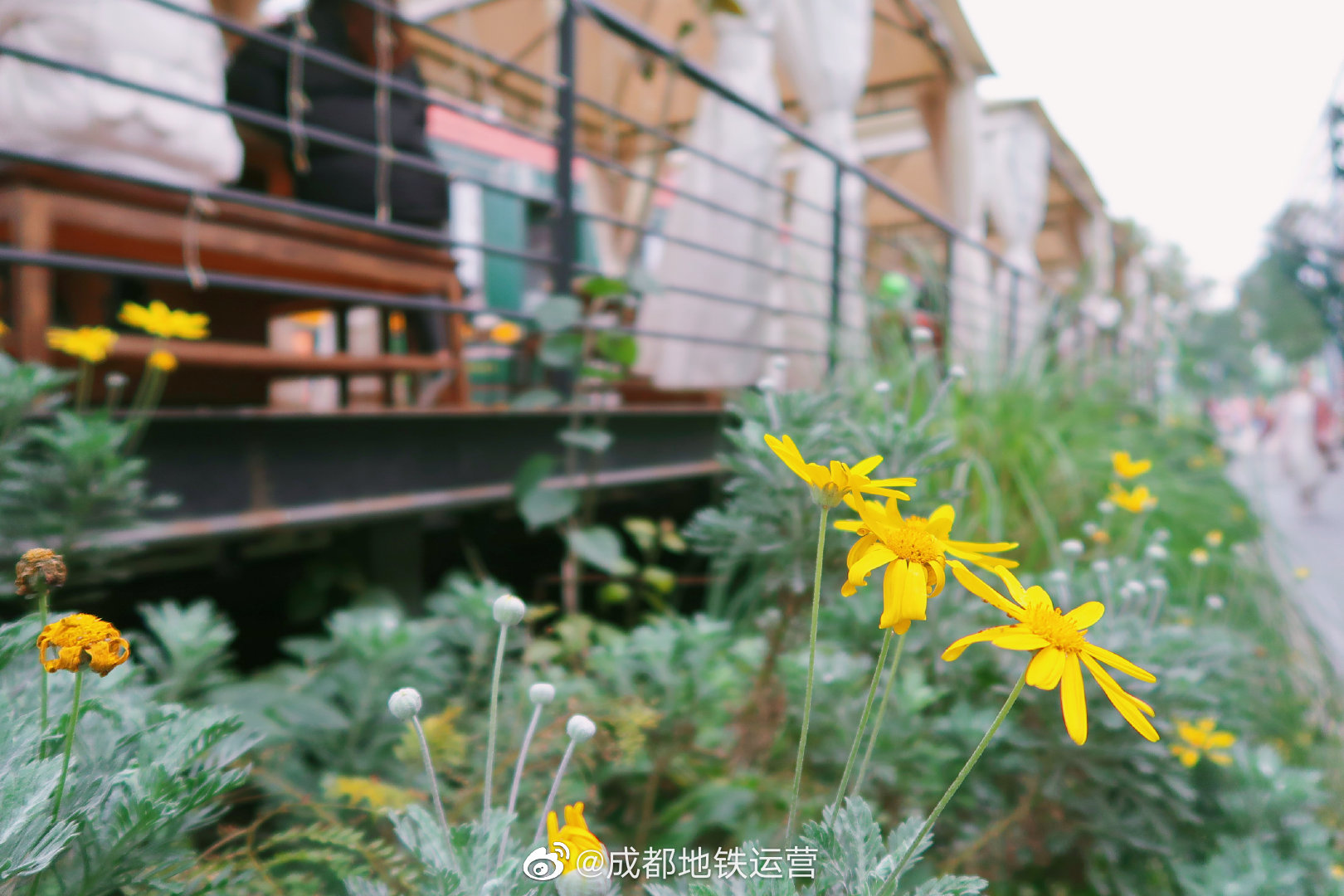 成华区二仙桥公园在哪,成都市二仙桥公园地址