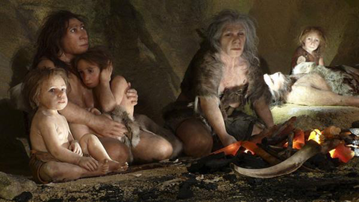 黑人基因和白种人相近,还是黄种人基因和白种人接近?为什么?