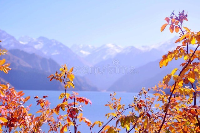 新疆天山天池几a级景区,新疆天山天池属于几a级景区