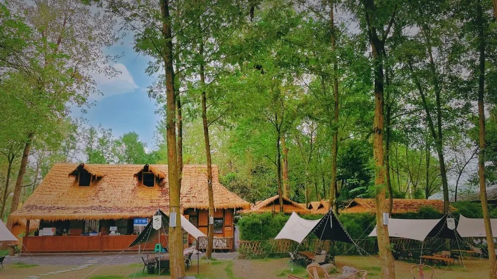 返乡创业！85后女创客盘活乡村资源，打造“量身定制”网红店