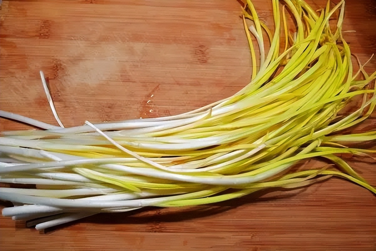 浙江人常吃的蔬菜有哪些,幼儿园常吃的蔬菜有哪些