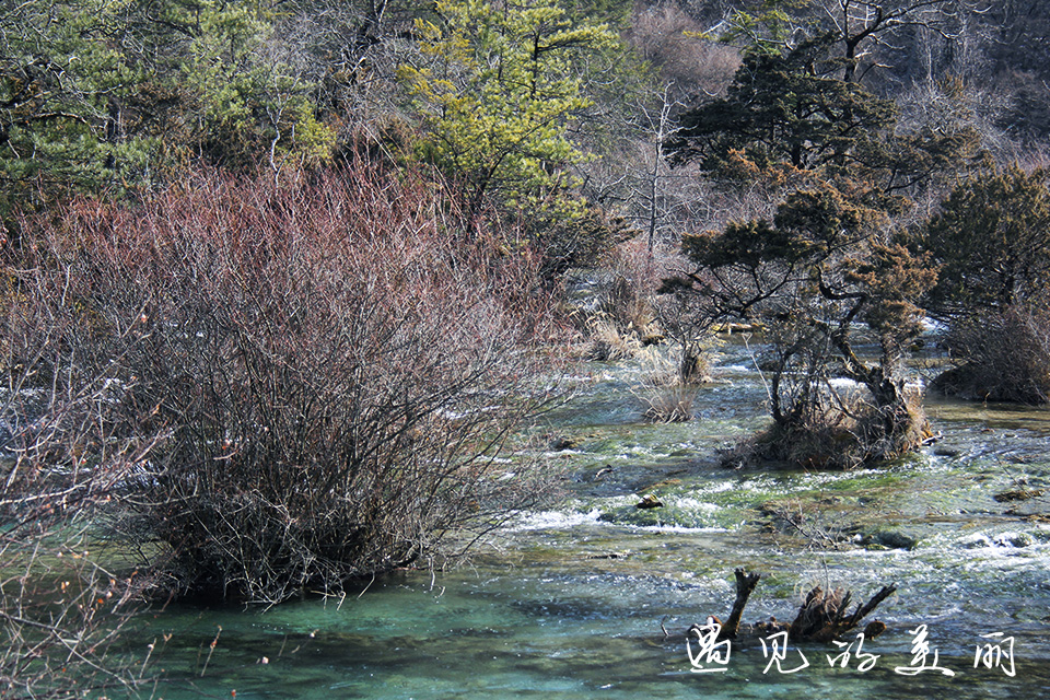 如果一生只去一个古城,一生去一次九寨沟