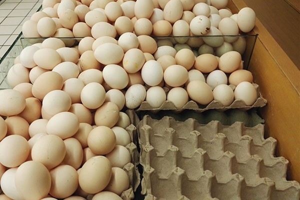 吃多了胃不撑怎么办,胃无动力消化难是什么原因