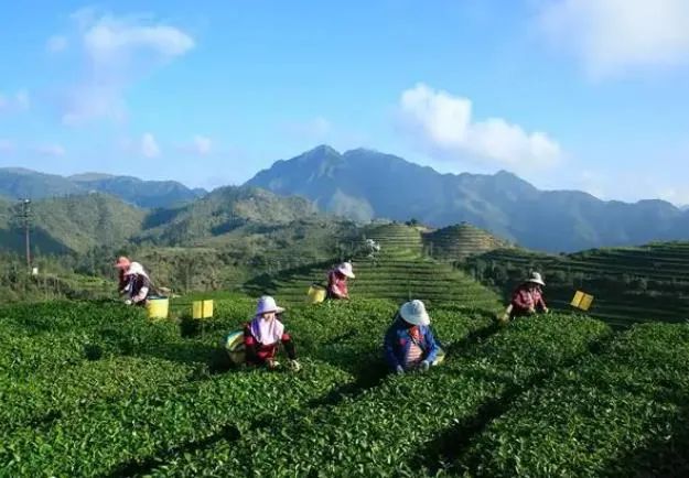 福建出租车师傅竟然通过私域流量年入百万，他是怎么做到的？