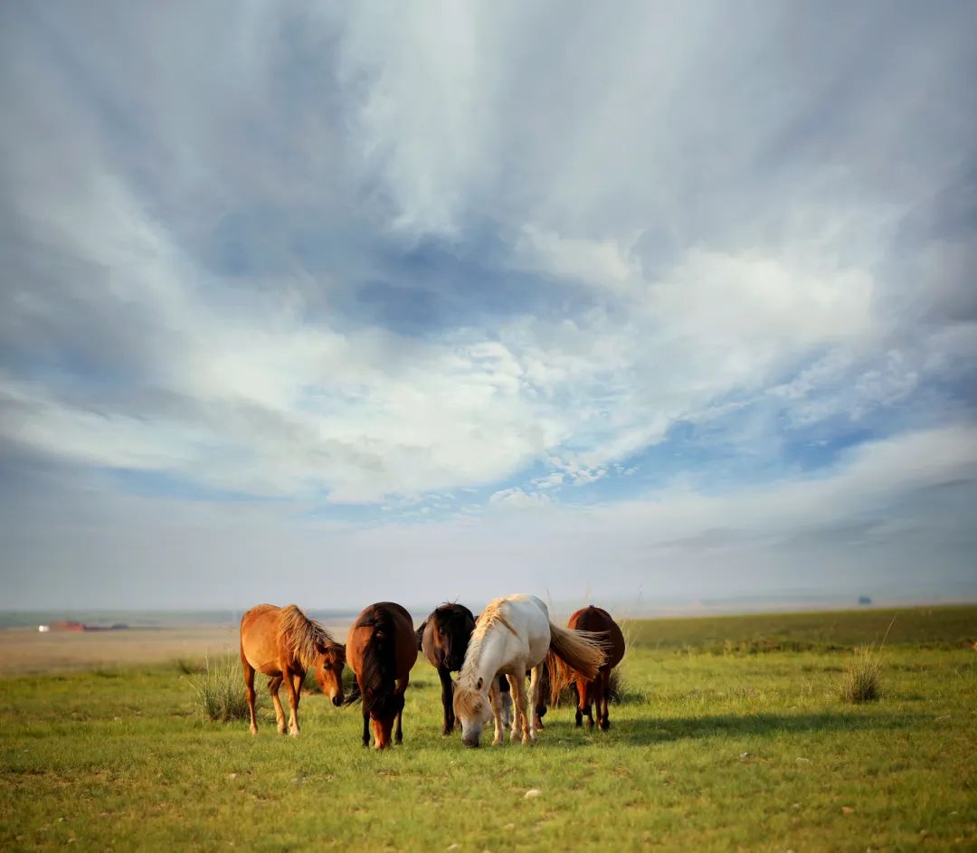 包头游玩攻略旅游线路推荐,文旅助力