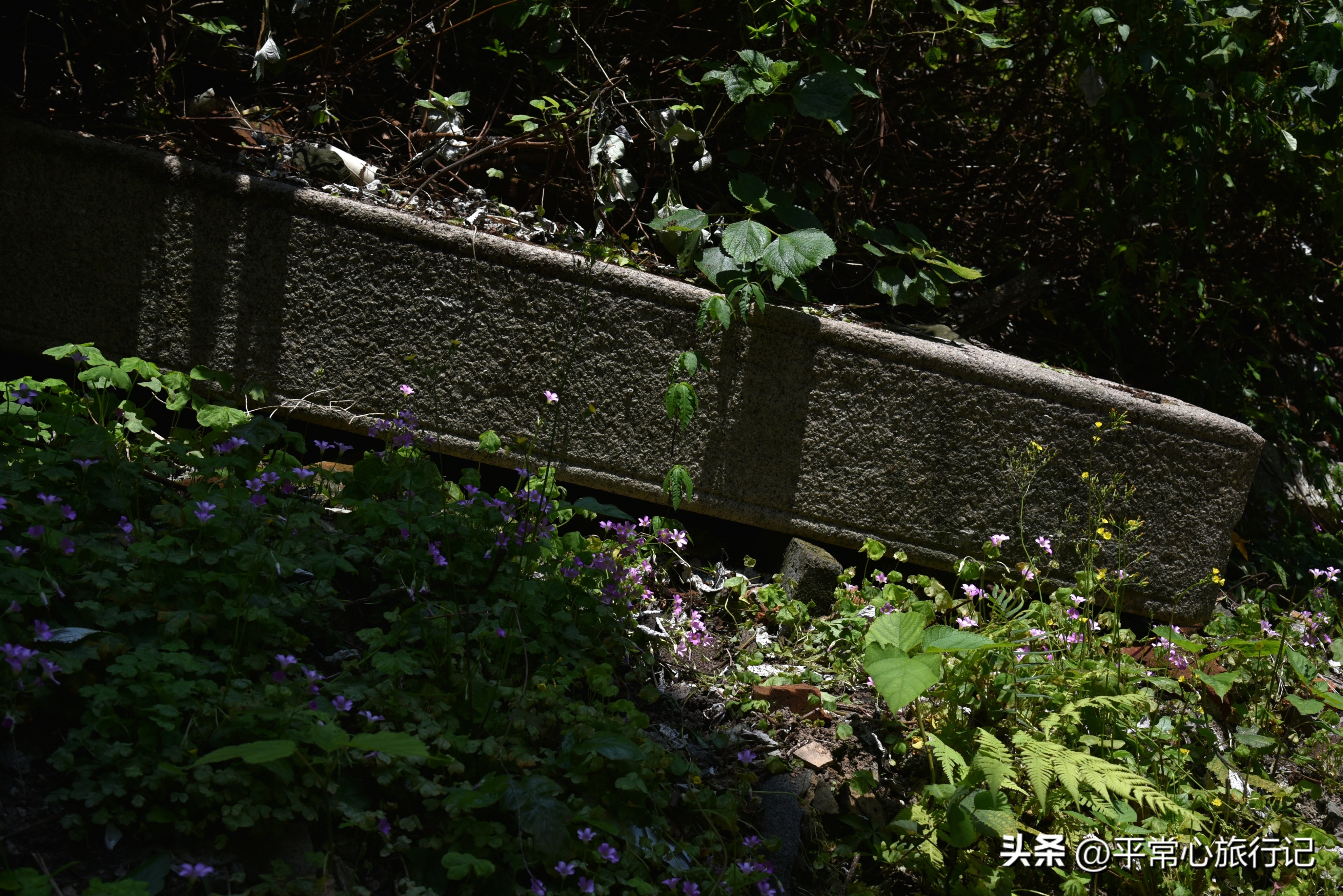 狂飙江门取景地打卡旧厂街,江门三十三墟街景点介绍