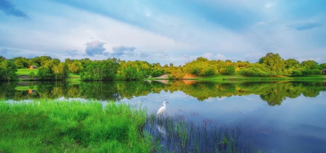 50句绝美的春天诗词,50句极美的春天诗词