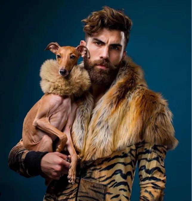 一只被抛弃的小狗逆袭变身超狗,一只被逆袭的中国狗狗