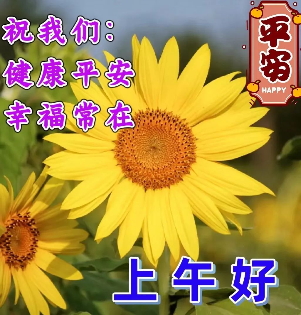 周一早安最暖心的祝福图片图文,最新周一早上好祝福图片