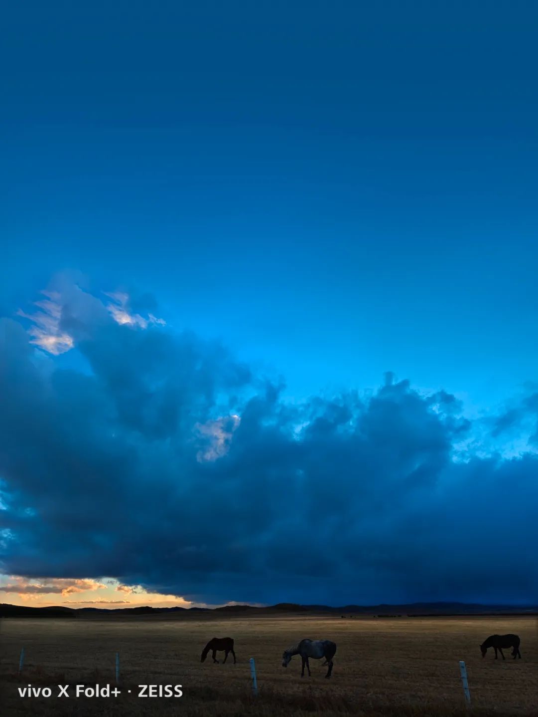 vivo何以成为手机影像卷王？3大赛道都要力争上游