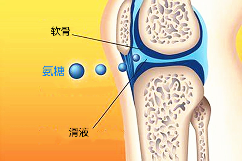 氨糖有硫酸和盐酸的有什么区别,氨糖都有哪些成分