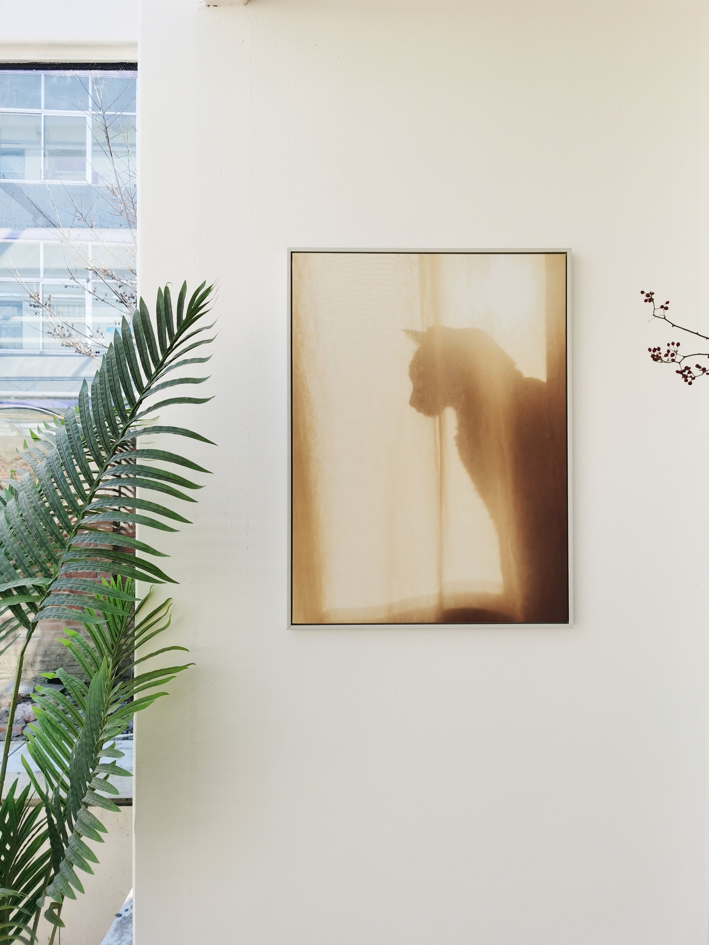 小猫和小狗去世了要怎么办,家里的猫和狗都死了怎么回事