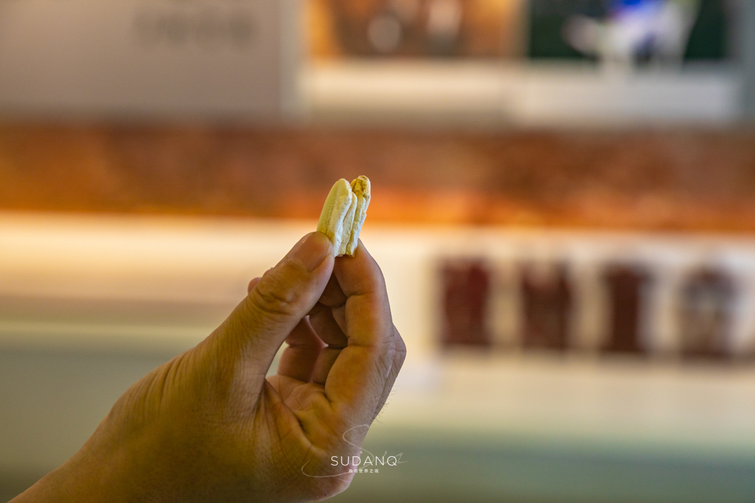 苏联挖掘地球的真实情景,苏联挖地球的原因