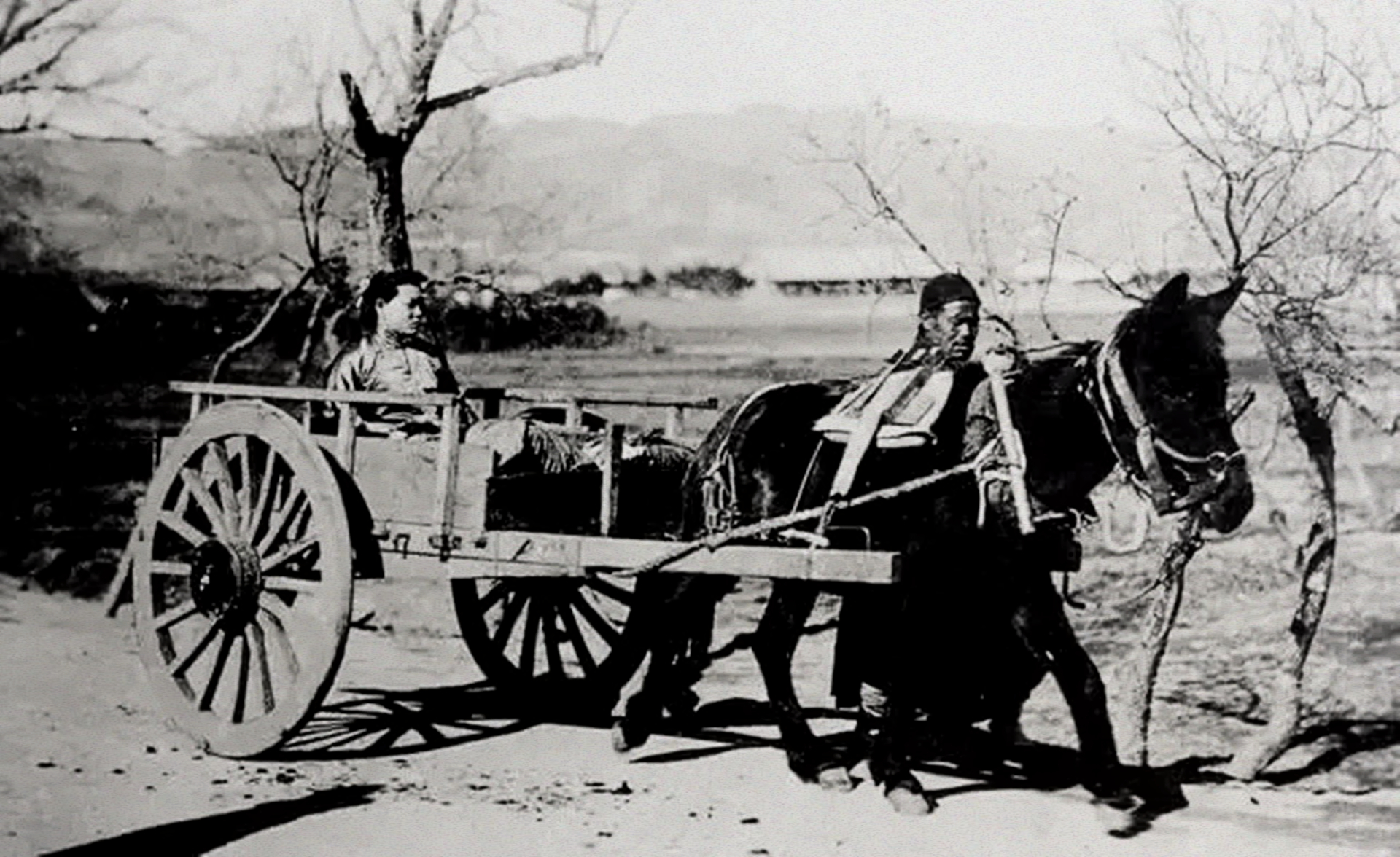 1950年杀害陈潭秋的凶手，躲在兰州当影院检票员，因与人争吵暴露