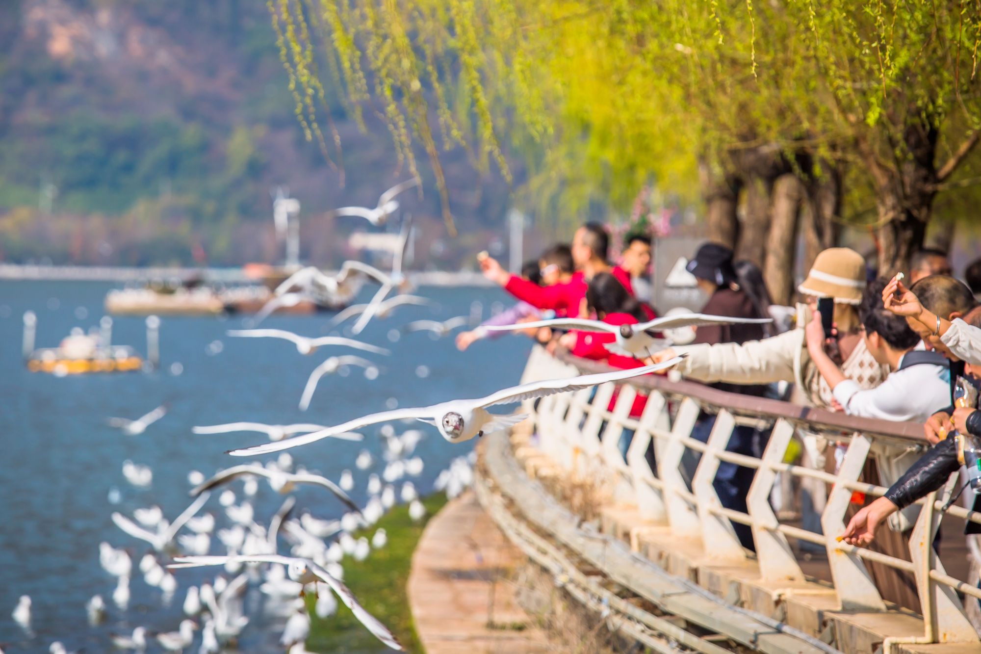 昆明滇池海埂公园有什么好玩的,昆明滇池海埂公园有没有沙滩