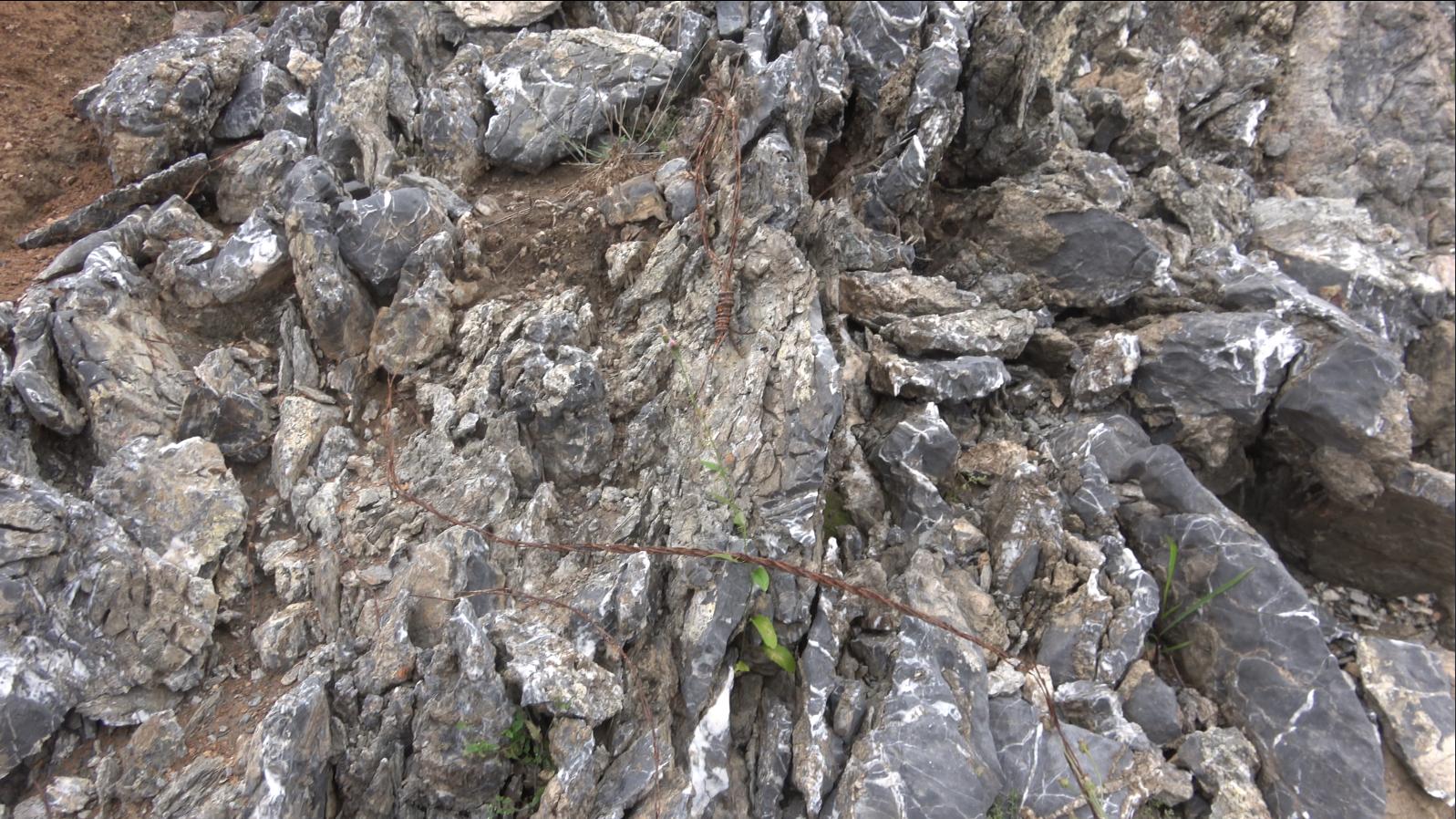 饮水思源的水是什么水,饮水思源的源怎么写