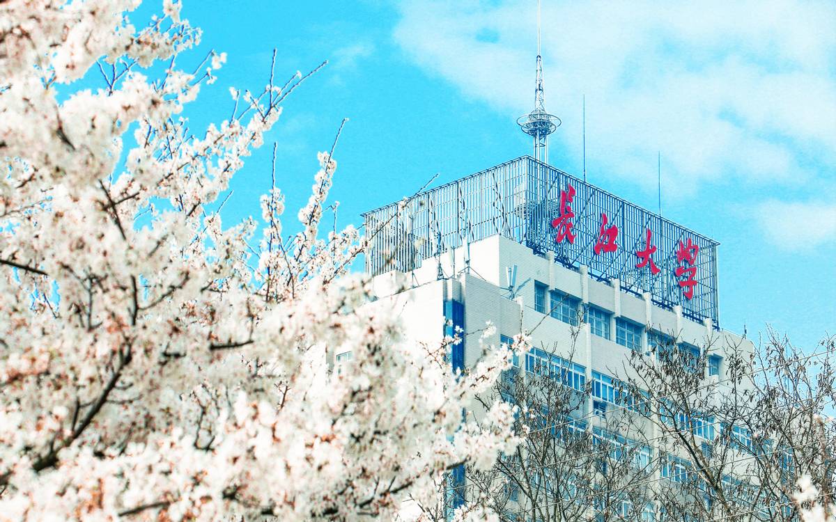 长江大学大数据专业全国排第几,长江大学美术类专业录取分数线