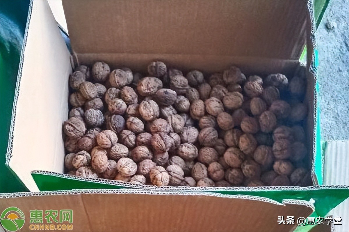 核桃仁价钱,新鲜核桃仁去皮的多少钱一斤