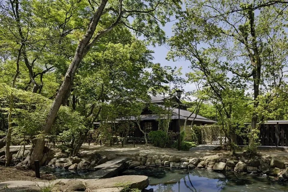 去日本旅游订酒店好还是民宿好,日本旅游选酒店小技巧