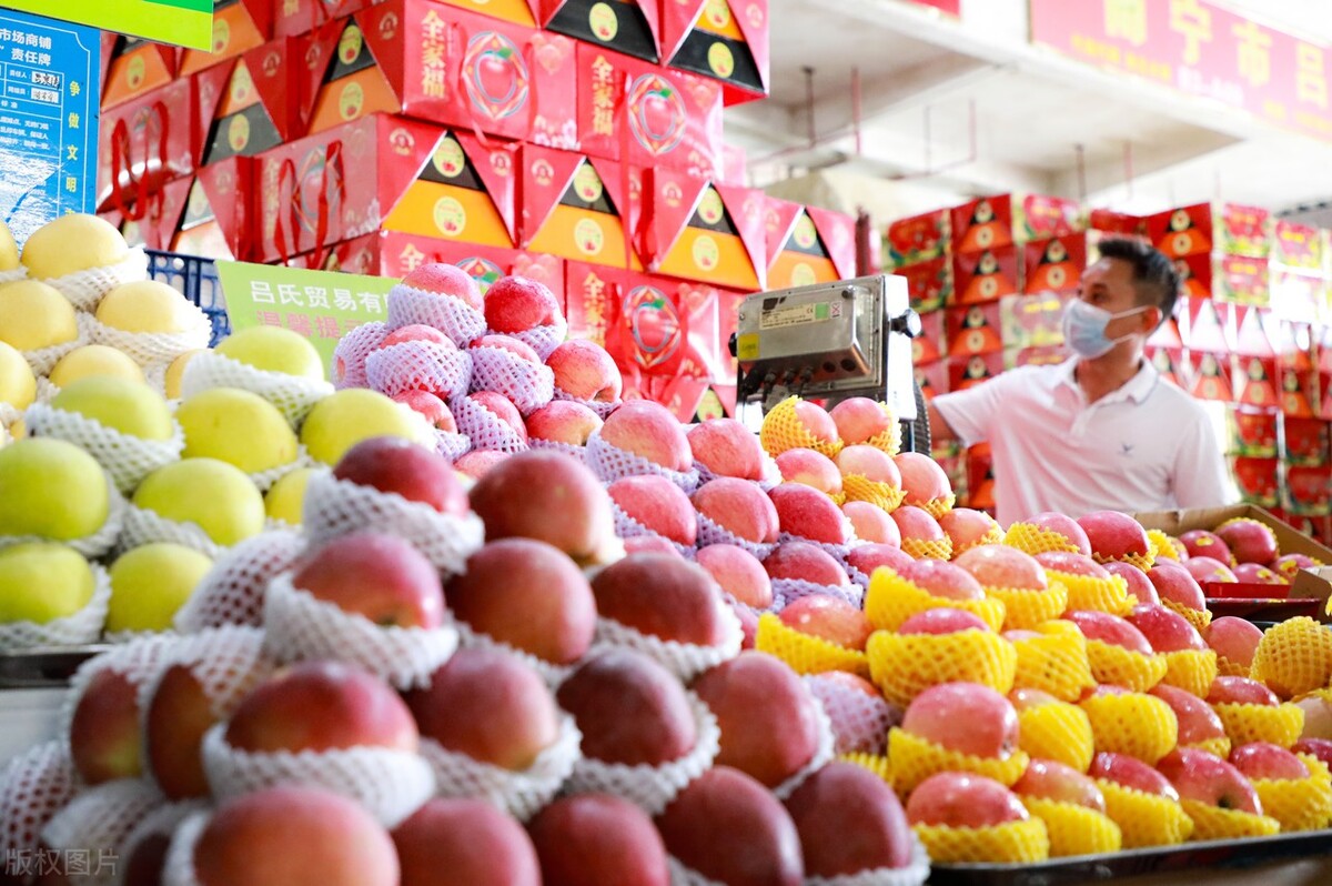 中俄农业合作新政策 (中俄农业合作最新消息)