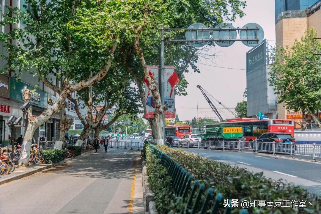 山西路,南京人不想和你说再见。