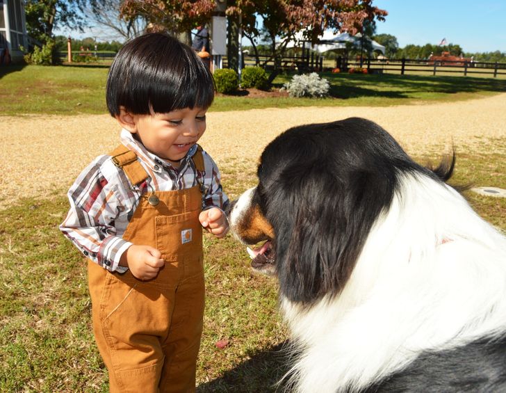 16句至理名言,谚语对人生的感悟