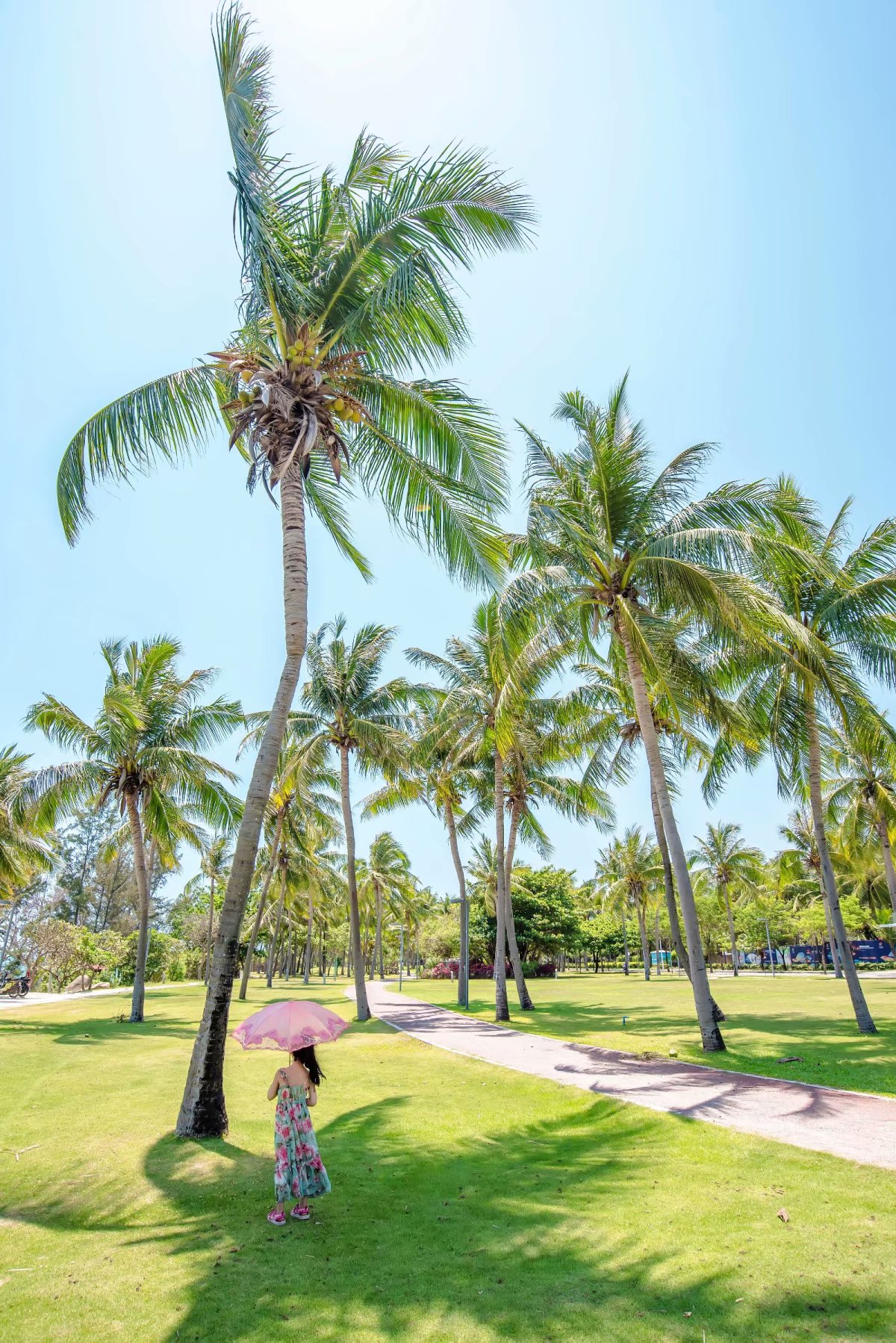 泰国三亚旅游对比,三亚和泰国旅游选择哪里