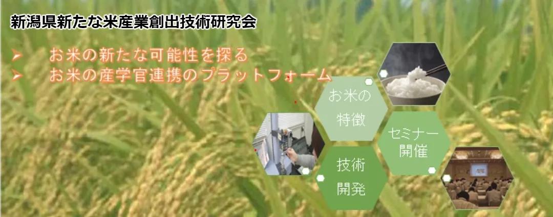 从火爆的国民零食到太空食品，一粒米的花式玩法还有多少可能性？