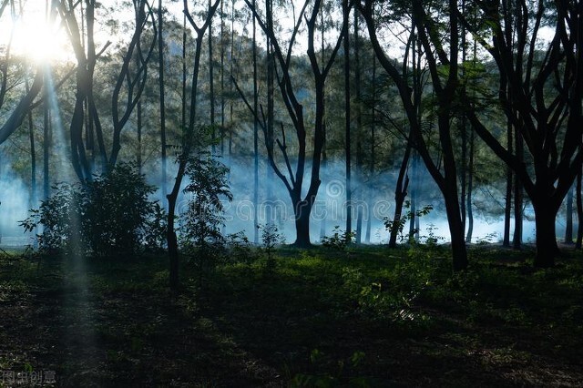 所有穿越重生小说,盘点几本异世重生小说