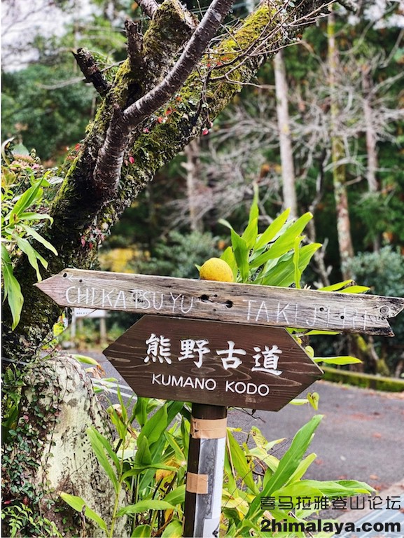 [日]与本宫地区最后一名修玄道僧侣徒步远古的日本朝圣之路