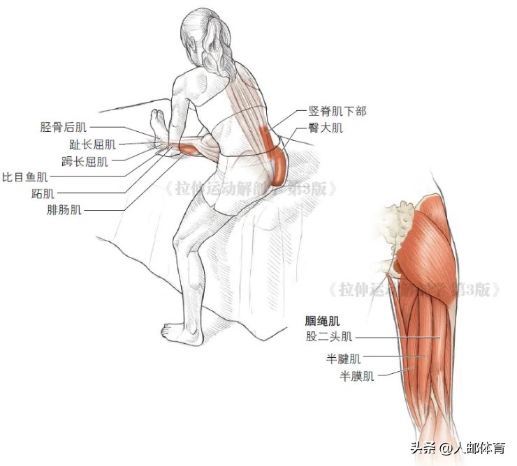 在沙发上锻炼,久坐一族伸展练习方法