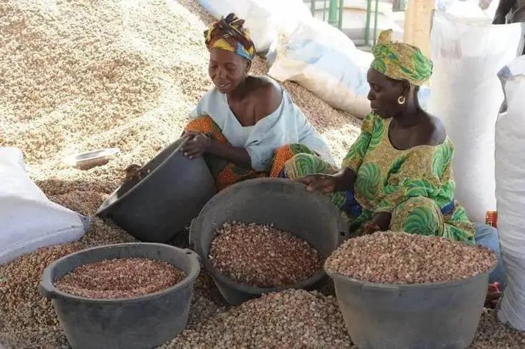 冈比亚：一个自称能在三天内推平苏联，一天内占领中国的嘴炮国家