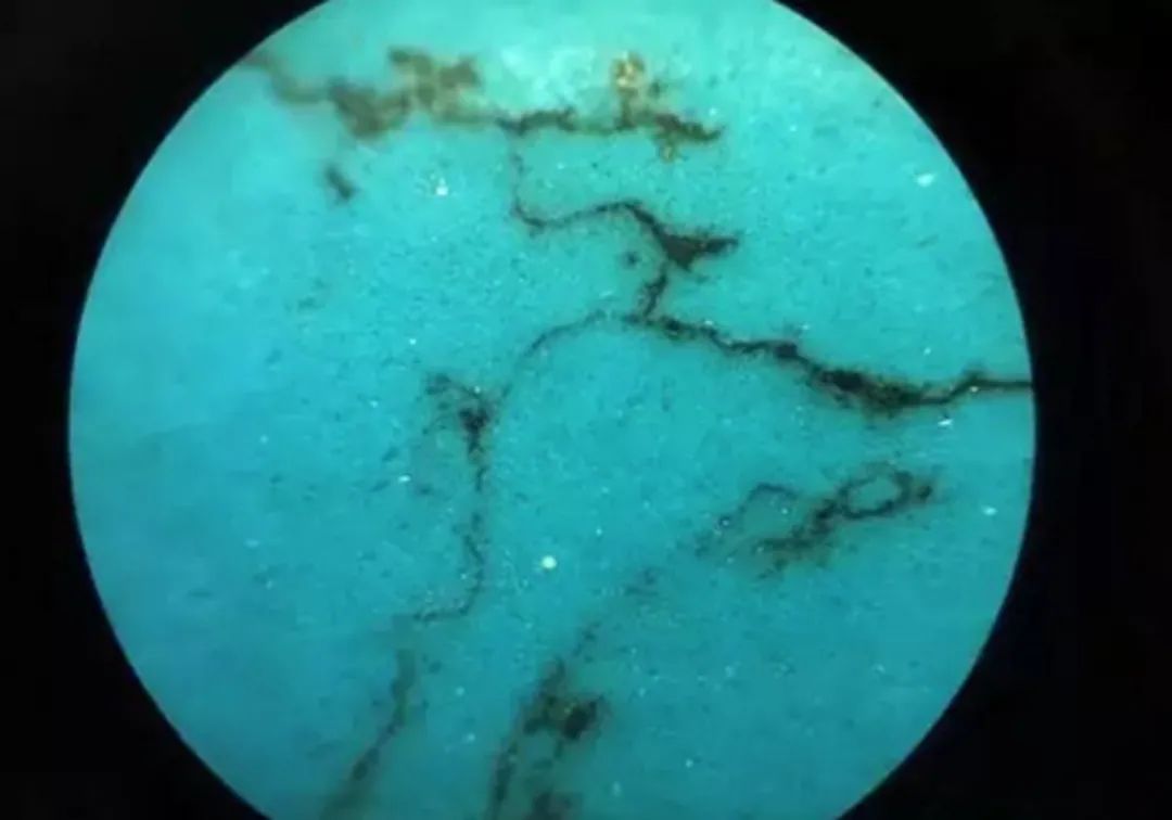 谁说绿松石是老古董？它可是新季大牌高珠的镇场正C位