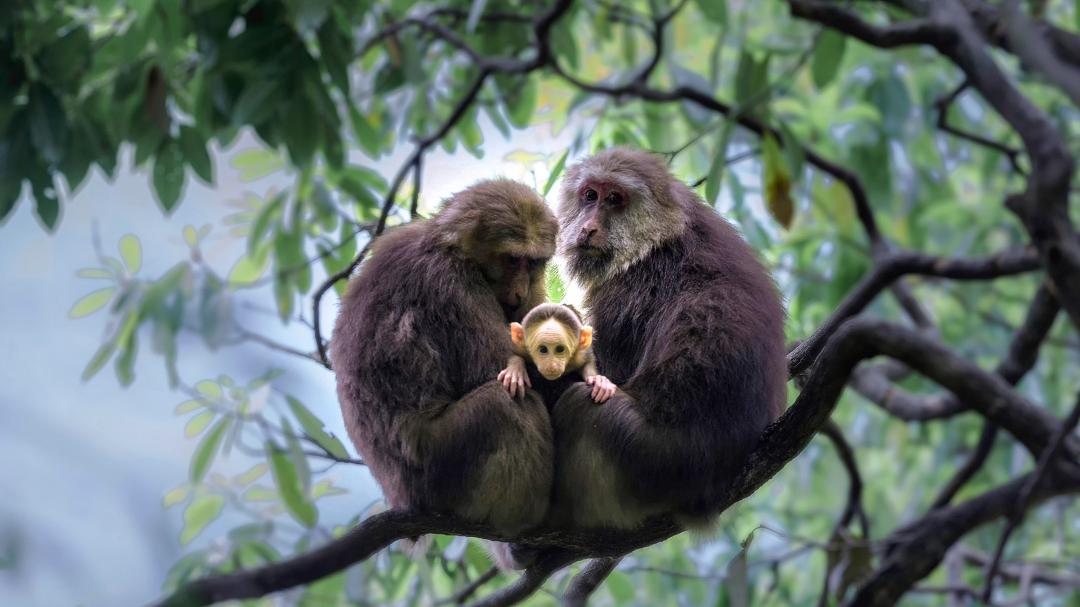 值得带娃去玩的景区推荐,无锡免费景区有哪些地方好玩