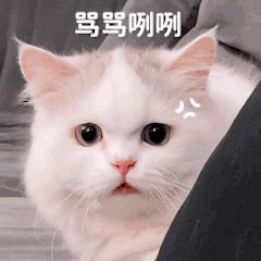 蜜蜂小狗搞笑视频,蜜蜂小狗搞笑剪辑视频