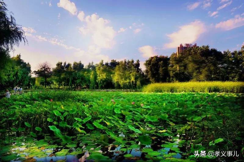 山西孝义：三伏天热成狗？孝义本地最全避暑指南来了，快快收藏