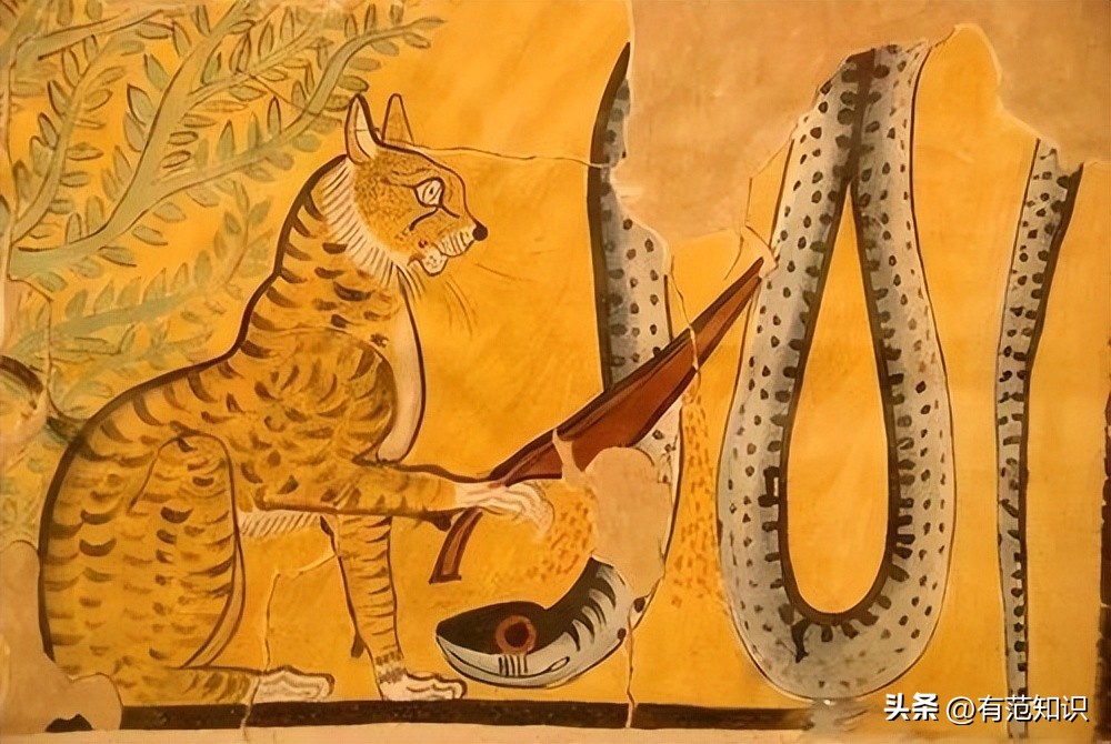 古埃及和猫的历史故事,古埃及人对猫的崇拜