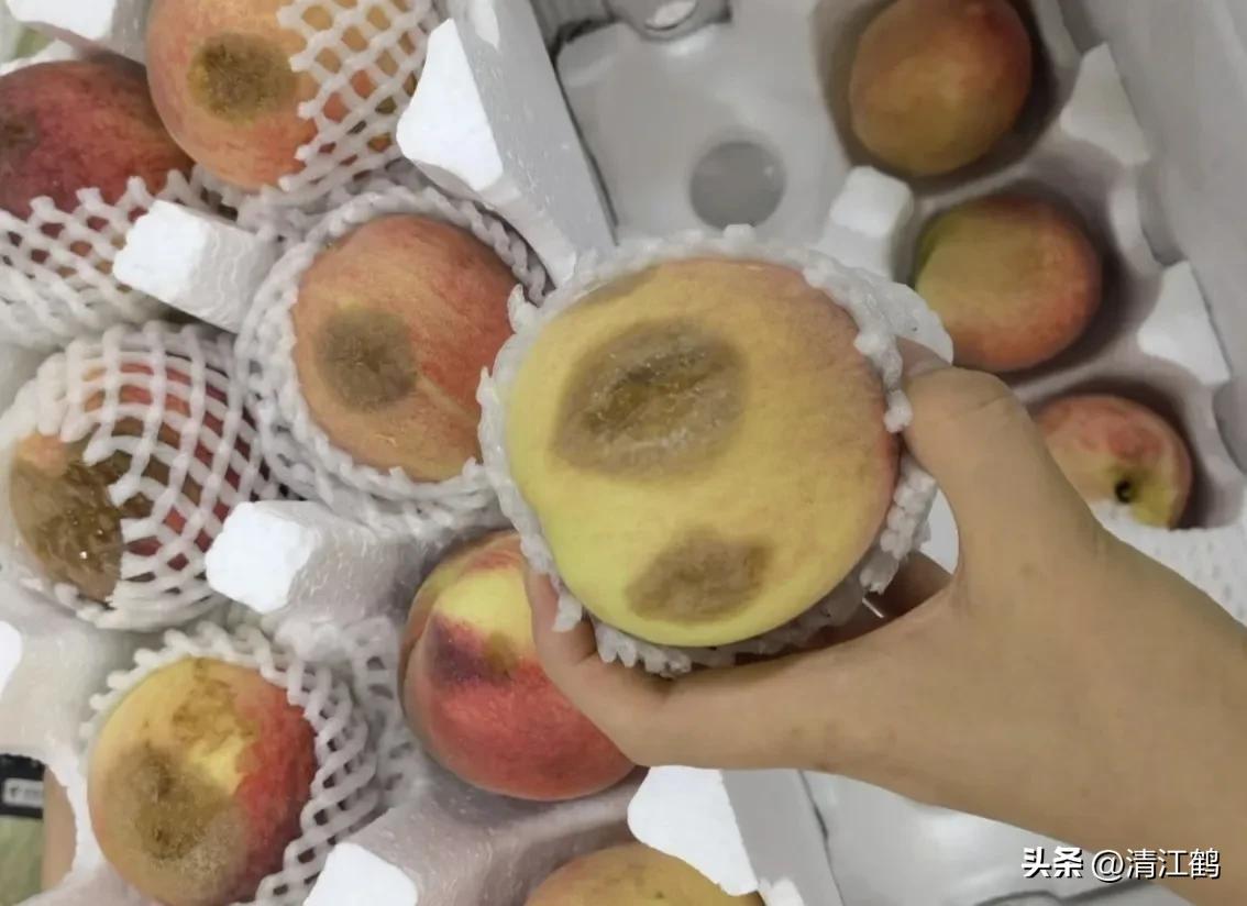 冬桃裂果是什么原因,冬桃烂心咋回事