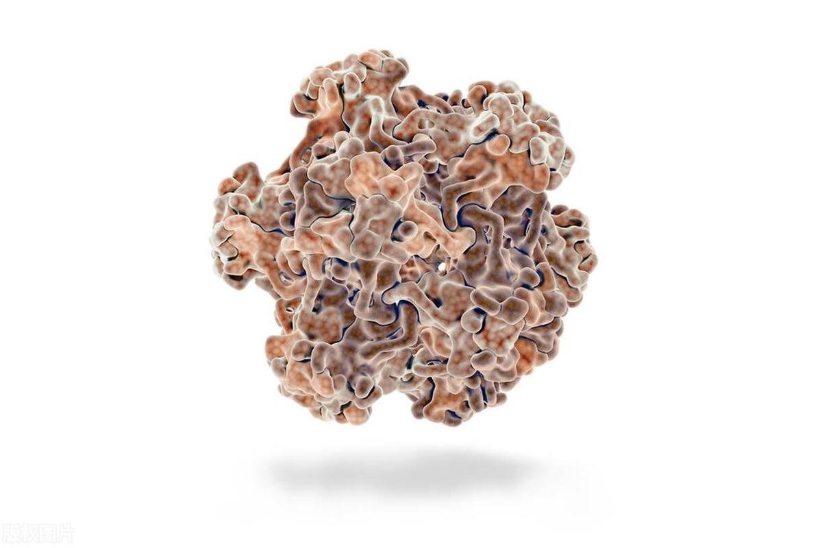 hpv16阳性怎么传播,hpv16阳性通过什么途径传染