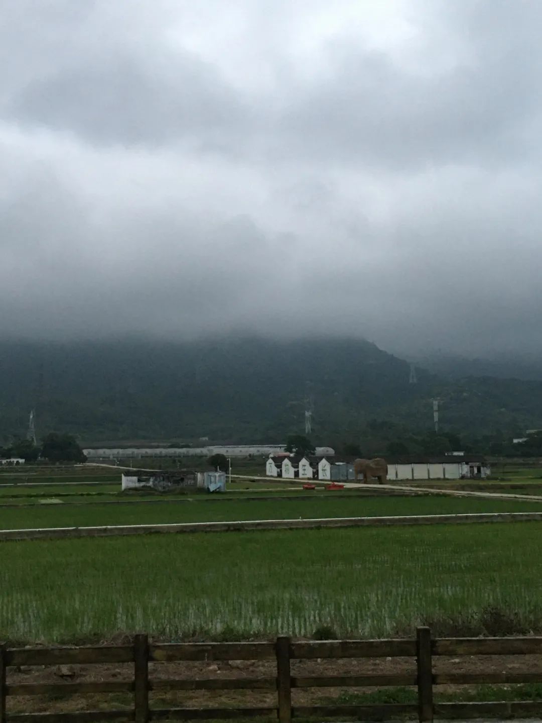《旭光骑行深圳》第19站——大鹏新区大鹏街道