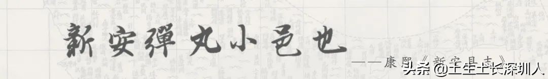 醒狮和瑞狮的区别在哪,醒狮的运动特点