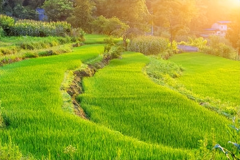 十首田园诗词最美的田园生活,关于田园的古诗词30首